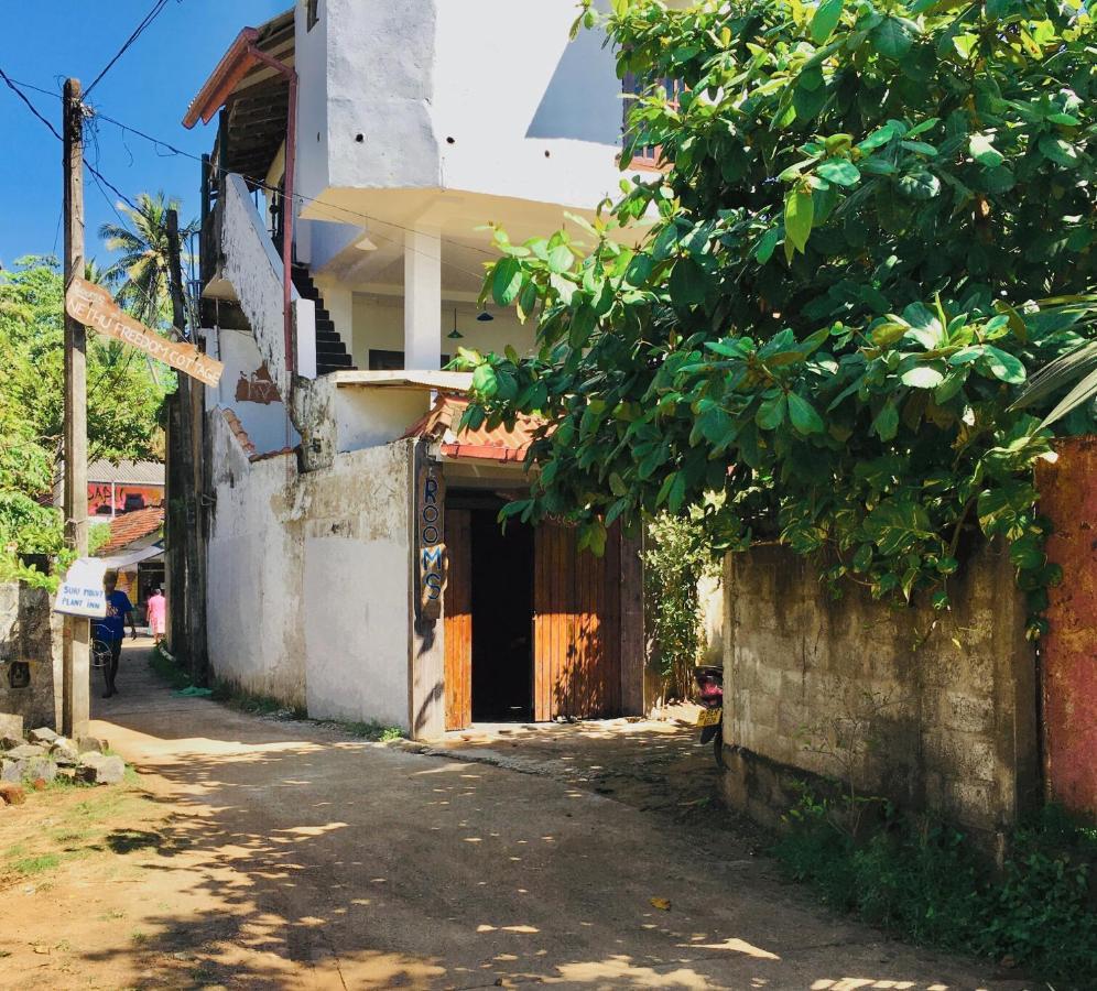 Nethu Freedom Cottage Weligama Exterior photo